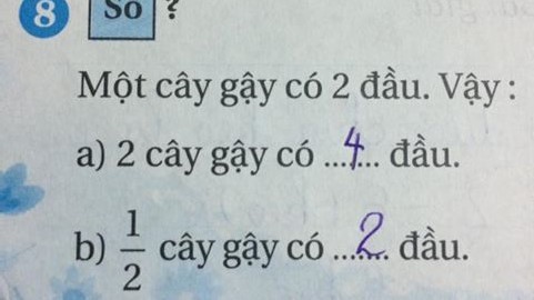 Tranh cãi kết quả bài toán tính số đầu gậy của học sinh lớp 2