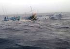 Tàu chìm do sóng lớn, 8 người thoát chết trong gang tấc