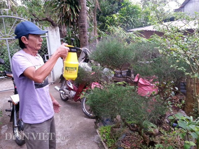 Chiêu lạ: Dùng bia để tưới cây, bón nấm ở Phú Yên