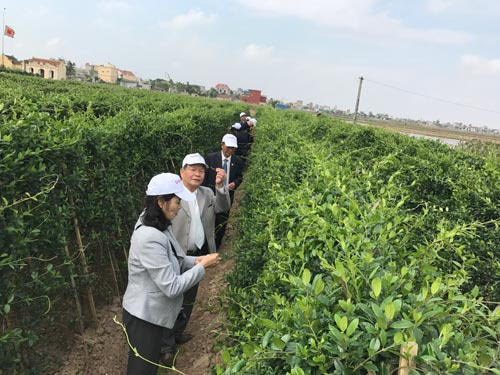 Sôi sục truy xuất nguồn gốc thực phẩm chức năng tiểu đường