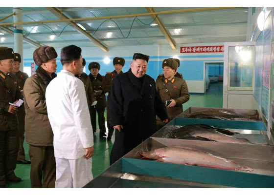 Kim Jong Un tươi cười đi thăm trại cá