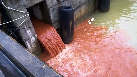 Clip cống xả thải nghi của Formosa quay tại cảng Tiên Sa