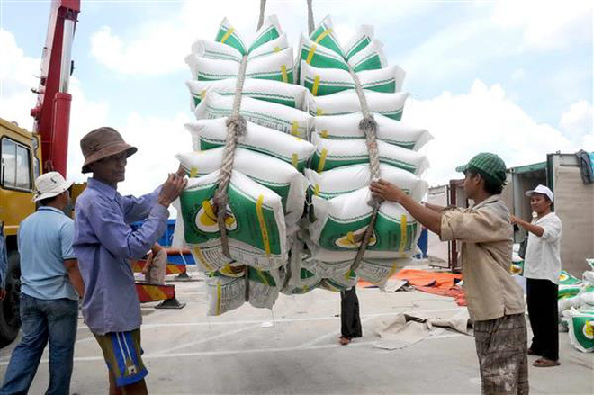 Xin giấy phép xuất khẩu gạo tốn hơn 20 ngàn USD