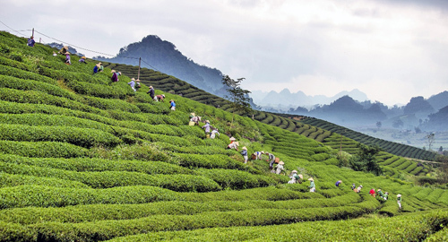 Tháng 3 ‘mở màn’, rộn ràng du lịch khắp Việt Nam