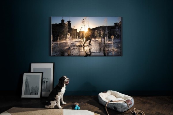 QLED TV được đánh giá cao tại SEAO Forum 2017