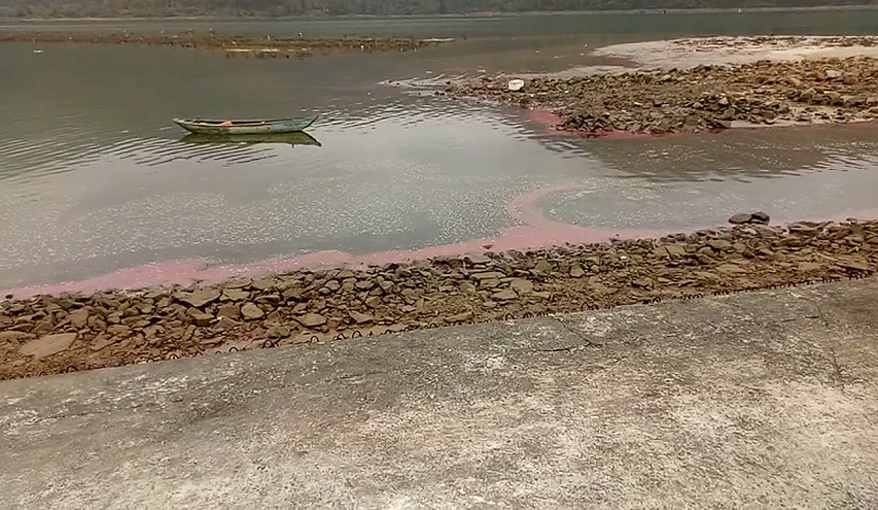 Xuất hiện dải nước đỏ ở vùng biển Hà Tĩnh