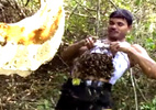 10 clip 'nóng': Bốc hàng nghìn con ong thả vào áo ngực