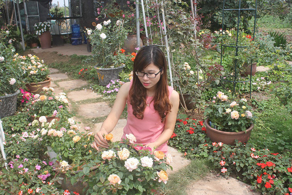 Cô gái 9x sở hữu vườn hoa hồng trị giá 5 tỷ đồng