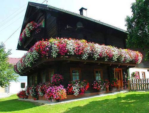 Nhà đẹp: Những căn nhà ngập sắc hoa tươi ngỡ như trong truyện cổ tích