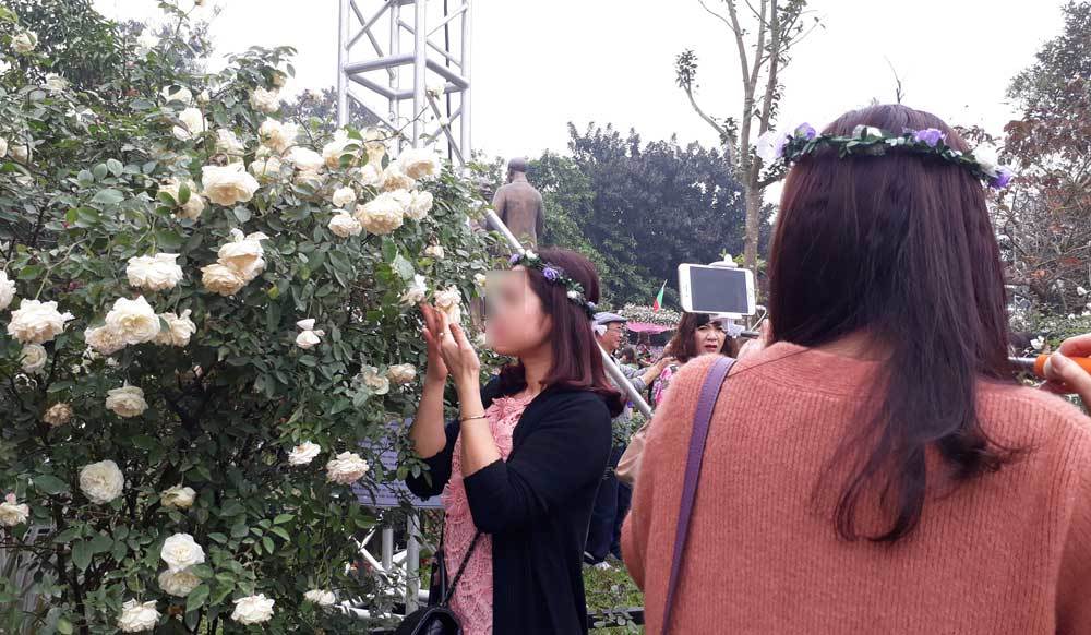 Lễ hội hoa: Hồng gãy cành, tơi tả vì khách chen nhau 'tự sướng'