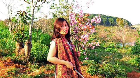 Bình Thuận làm rõ vụ nữ Phó giám đốc sở bẻ hoa