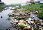 Hồ Tây ngập rác thải sau di dời nhà nổi