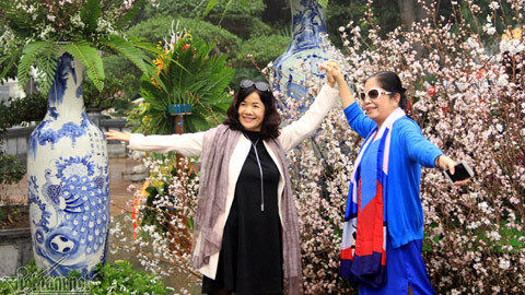 Nghìn người đội mưa, tạo dáng bên hoa anh đào