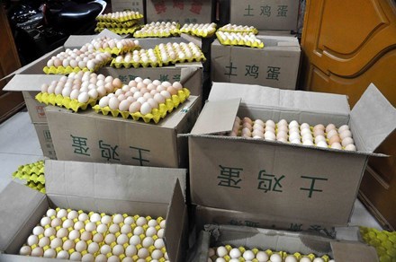 Một đêm bắt 18 nghìn quả trứng gà in chữ Trung Quốc