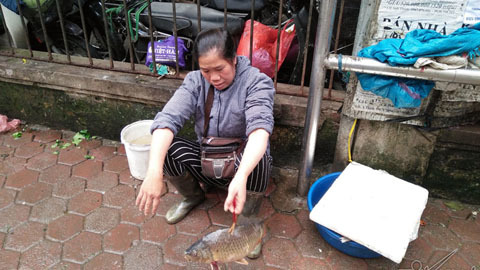 Chị hàng cá 'dắt' cá đi bán: Tôi chỉ mong dẹp vỉa hè
