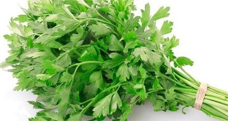 Món đồ uống thải độc và bồi bổ cơ thể ai cũng làm được: Hãy làm ngay hôm nay!