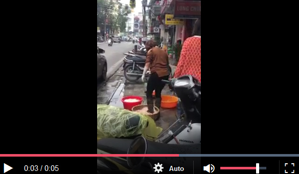 Rùng mình nhìn cảnh lòng lợn được làm sạch bằng... chân