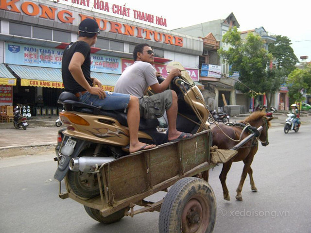 Xe máy cưỡi bò là một trải nghiệm thú vị trong việc khám phá vùng đồi núi và tham quan các điểm đến địa phương. Hãy tham gia và cảm nhận cảm giác tự do khi vượt qua những cung đường đèo dốc của phía Nam Việt Nam.