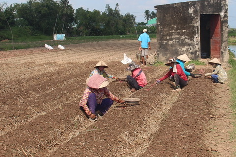 Truyện Phong Cuồng Đích Mộc Đầu/ Điên Cuồng Đích Đầu Gỗ