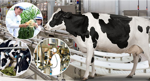 Triển lãm quốc tế ngành Sữa và sản phẩm Sữa