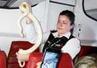 Hành khách kể khoảnh khắc gặp rắn trên máy bay
