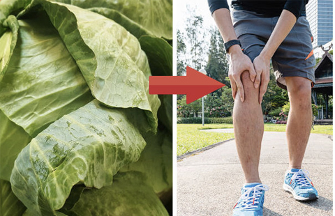 Đau gút đến mấy, có lá bắp cải là đỡ liền