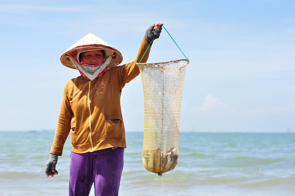 Tuyệt chiêu ném đá, lùa cá vào bờ kiếm tiền triệu mỗi ngày