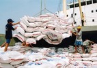 Gạo xuất khẩu của Việt Nam: Châu Phi còn “lắc đầu”