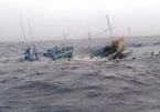 Tàu cá bị đâm chìm, 6 ngư dân kêu cứu giữa biển