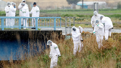 Bé gái người Việt tử vong tại Nhật có dấu hiệu bị sát hại