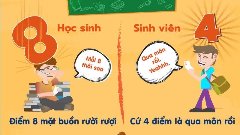 Những khác biệt thú vị giữa học sinh và sinh viên