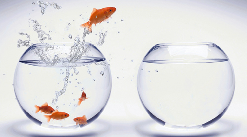 6 lý do thích hợp để ‘nhảy việc’