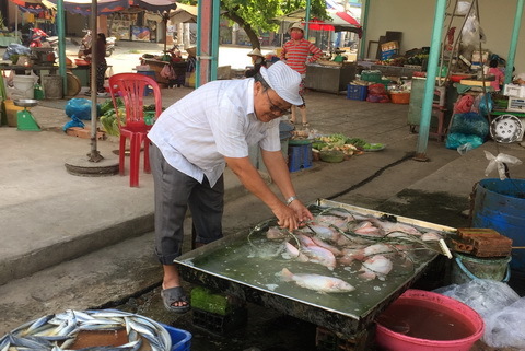 Cụ ông dùng 800m2 đất lập chợ cho người bán hàng rong ở Sài Gòn