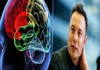 Elon Musk ra mắt dự án giúp con người có siêu trí tuệ