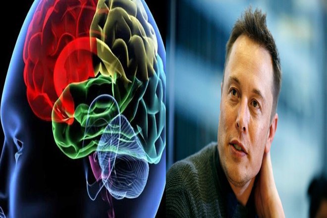 Elon Musk ra mắt dự án giúp con người có siêu trí tuệ