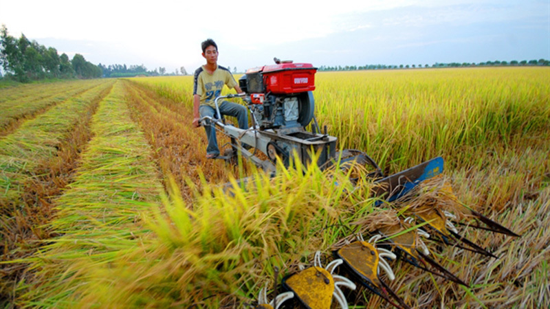 Mở rộng hạn điền: Tích tụ không tước đoạt