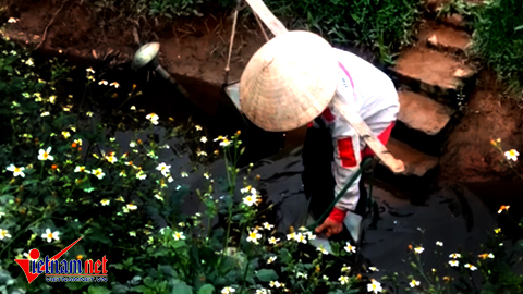 VÂN CANH HOÀI ĐỨC