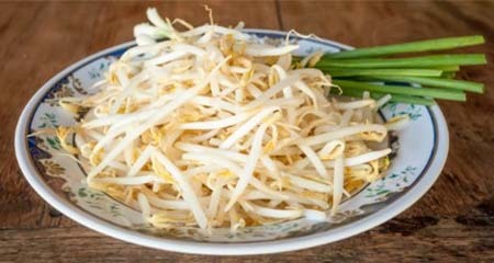 Đây là nguyên nhân bạn nên ăn giá đỗ thường xuyên