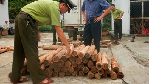 Quảng Bình: Bắt giữ 100 khúc gỗ hương giáng ‘trừ tà’