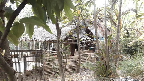 Bé gái 11 tuổi nghi bị cha và ông nội xâm hại