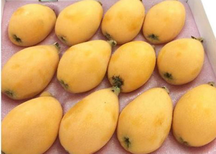 Quả Biwa 4 triệu/kg: Món lạ chị em ăn vặt đỡ nhạt miệng