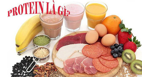 Vì sao Protein cần thiết cho quá trình tăng cân, tăng cơ?