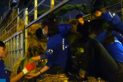 Sinh viên vay tiền mua 20 tấn dưa hấu giúp nông dân Quảng Ngãi