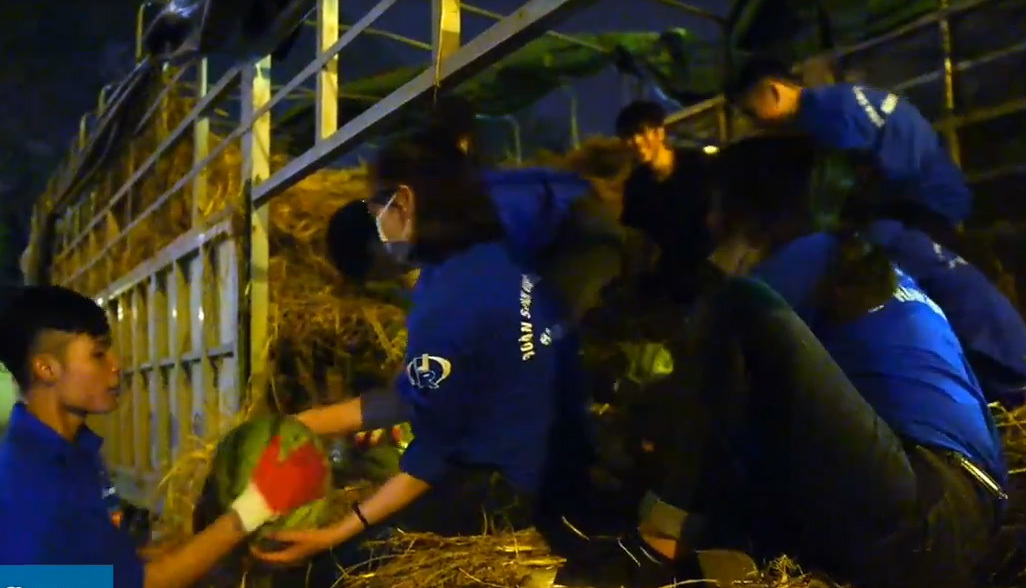 Sinh viên vay tiền mua 20 tấn dưa hấu giúp nông dân Quảng Ngãi