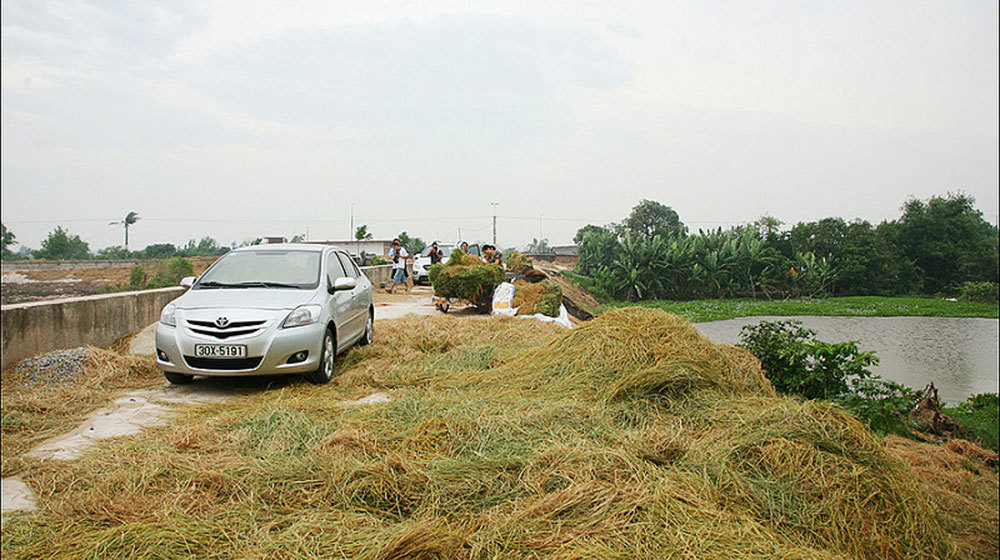 6 lưu ý đặc biệt khi lái xe đường làng