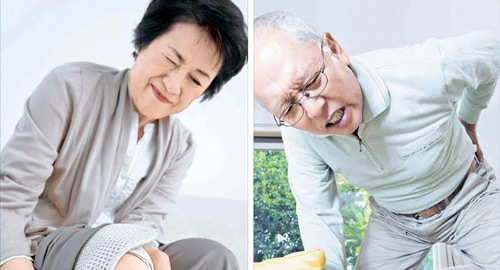 Hoạt chất quý từ Nhật cho người thoái hóa khớp