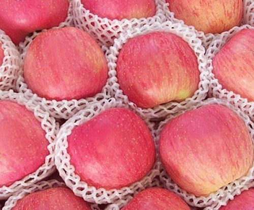 Cách phân biệt táo nhập khẩu và táo Trung Quốc 'đội lốt'