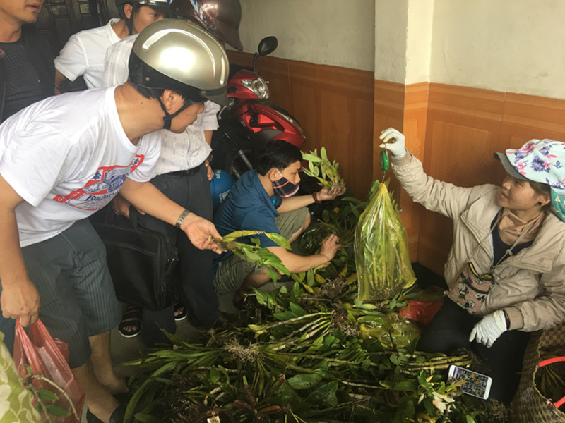 Độc nhất: Chợ phiên lan rừng bán theo cân giữa Đà Nẵng