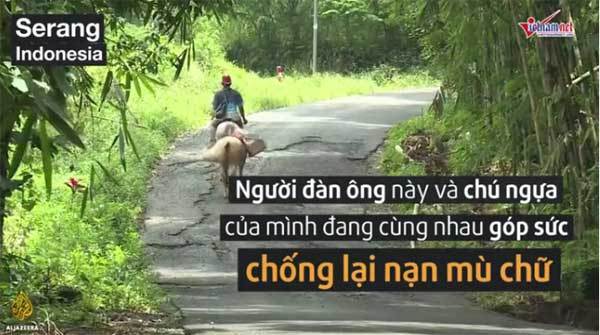 Hành trình mang chữ trên lưng ngựa của người Indonesia