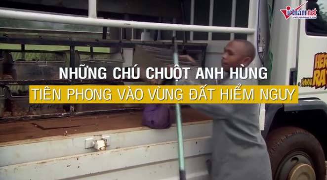 Những